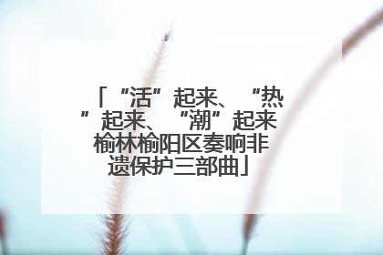 “活”起来、“热”起来、“潮”起来 榆林榆阳区奏响非遗保护三部曲