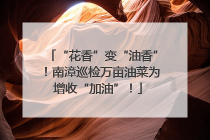 “花香”变“油香”！南漳巡检万亩油菜为增收“加油”！