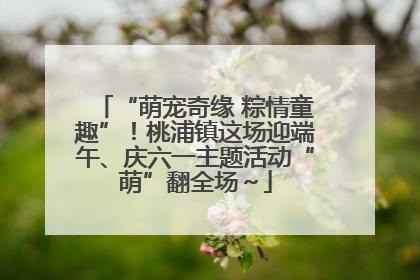 “萌宠奇缘 粽情童趣”！桃浦镇这场迎端午、庆六一主题活动“萌”翻全场～