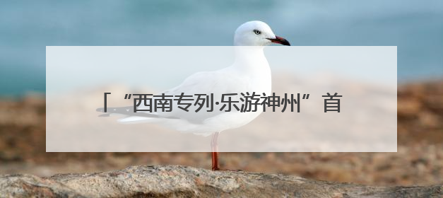 “西南专列·乐游神州”首趟旅游专列抵达宁夏固原 800余名游客开启清凉之旅