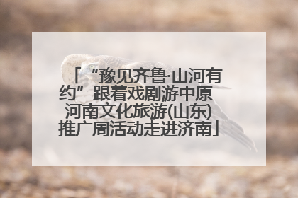“豫见齐鲁·山河有约”跟着戏剧游中原 河南文化旅游(山东)推广周活动走进济南