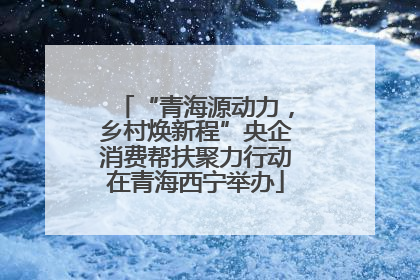 “青海源动力，乡村焕新程”央企消费帮扶聚力行动在青海西宁举办