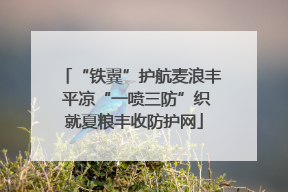 “铁翼”护航麦浪丰 平凉“一喷三防”织就夏粮丰收防护网