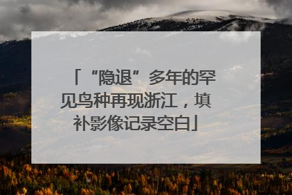 “隐退”多年的罕见鸟种再现浙江，填补影像记录空白