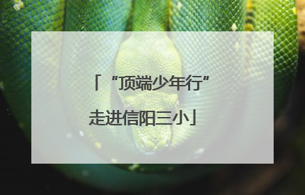 “顶端少年行”走进信阳三小