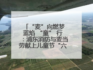 “麦”向燃梦 蓝焰 “童” 行：浦东消防与麦当劳献上儿童节“六一”礼