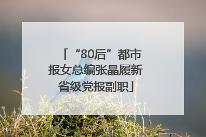 “80后”都市报女总编张晶履新省级党报副职