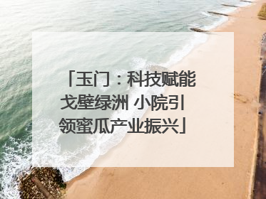 玉门：科技赋能戈壁绿洲 小院引领蜜瓜产业振兴