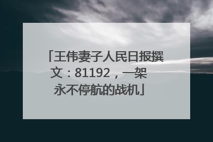 王伟妻子人民日报撰文：81192，一架永不停航的战机