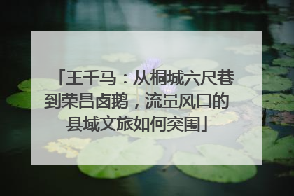 王千马：从桐城六尺巷到荣昌卤鹅，流量风口的县域文旅如何突围