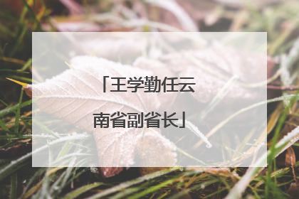 王学勤任云南省副省长