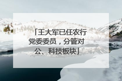 王大军已任农行党委委员，分管对公、科技板块