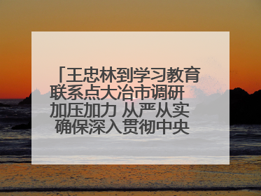 王忠林到学习教育联系点大冶市调研 加压加力 从严从实 确保深入贯彻中央八项规定精神学习教育取得实效