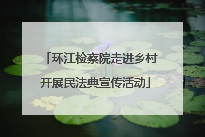 环江检察院走进乡村开展民法典宣传活动