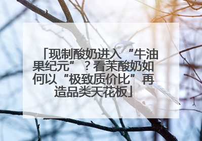 现制酸奶进入“牛油果纪元”？看茉酸奶如何以“极致质价比”再造品类天花板