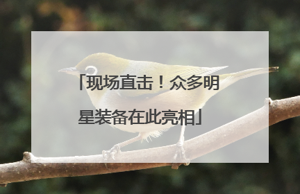 现场直击！众多明星装备在此亮相