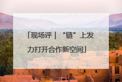 现场评｜“链”上发力打开合作新空间