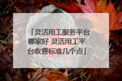 灵活用工服务平台哪家好 灵活用工平台收费标准几个点
