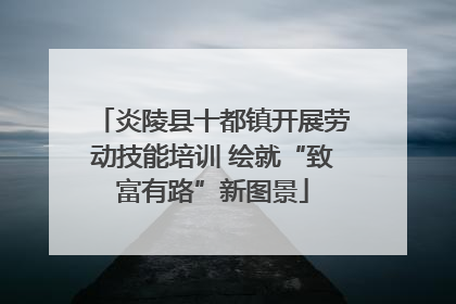 炎陵县十都镇开展劳动技能培训 绘就“致富有路”新图景