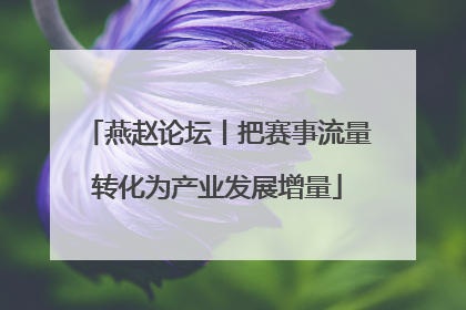 燕赵论坛丨把赛事流量转化为产业发展增量