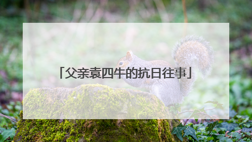 父亲袁四牛的抗日往事