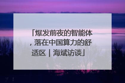 爆发前夜的智能体，落在中国算力的舒适区｜海斌访谈
