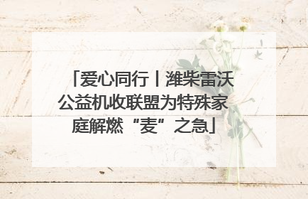 爱心同行丨潍柴雷沃公益机收联盟为特殊家庭解燃“麦”之急