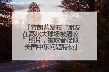 特朗普发布“朋友在高尔夫球场被鹅咬”照片，被咬者疑似美国中东问题特使