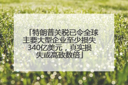 特朗普关税已令全球主要大型企业至少损失340亿美元，真实损失或高致数倍