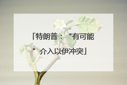 特朗普：“有可能”介入以伊冲突