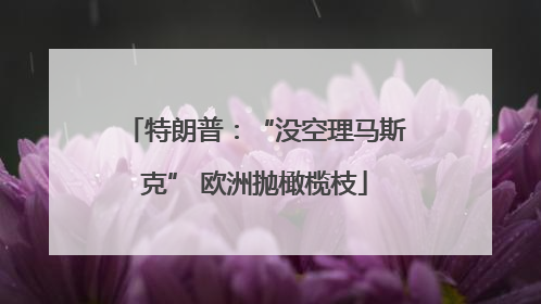 特朗普：“没空理马斯克” 欧洲抛橄榄枝