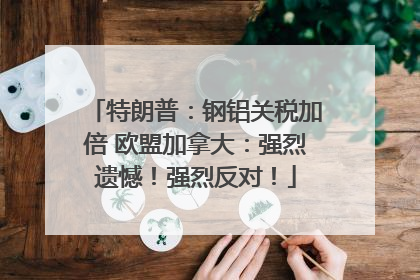 特朗普：钢铝关税加倍 欧盟加拿大：强烈遗憾！强烈反对！