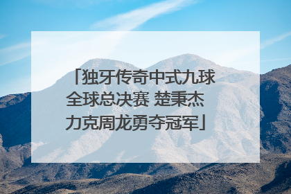 独牙传奇中式九球全球总决赛 楚秉杰力克周龙勇夺冠军
