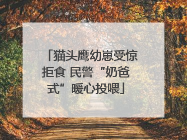 猫头鹰幼崽受惊拒食 民警“奶爸式”暖心投喂