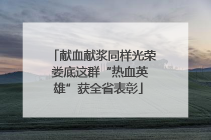 献血献浆同样光荣 娄底这群“热血英雄”获全省表彰