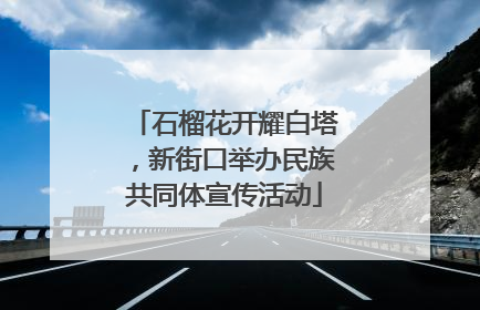 石榴花开耀白塔，新街口举办民族共同体宣传活动