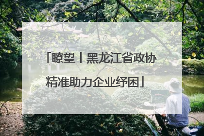 瞭望丨黑龙江省政协精准助力企业纾困