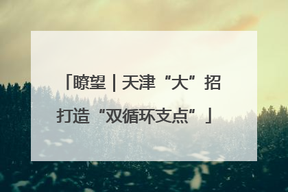 瞭望｜天津“大”招打造“双循环支点”