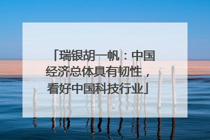 瑞银胡一帆：中国经济总体具有韧性，看好中国科技行业