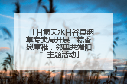 甘肃天水甘谷县烟草专卖局开展“粽香慰童稚，邻里共端阳”主题活动