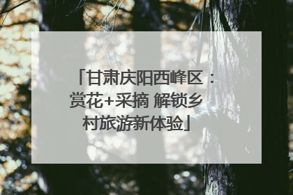 甘肃庆阳西峰区：赏花+采摘 解锁乡村旅游新体验