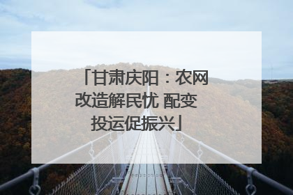 甘肃庆阳：农网改造解民忧 配变投运促振兴