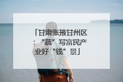 甘肃张掖甘州区：“蔬”写富民产业好“钱”景