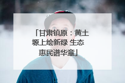 甘肃镇原：黄土塬上绘新绿 生态惠民谱华章