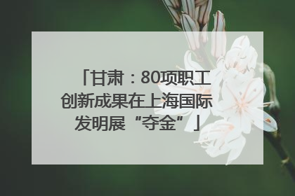 甘肃：80项职工创新成果在上海国际发明展“夺金”