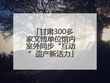 甘肃300多家文博单位馆内室外同步“互动”遗产新活力