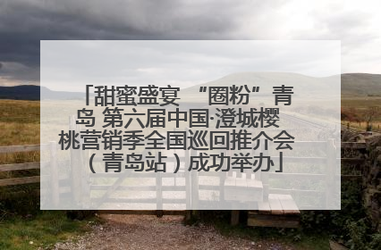 甜蜜盛宴 “圈粉”青岛 第六届中国·澄城樱桃营销季全国巡回推介会（青岛站）成功举办
