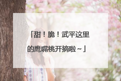 甜！脆！武平这里的鹰嘴桃开摘啦～