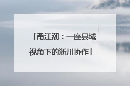 甬江潮：一座县域视角下的浙川协作