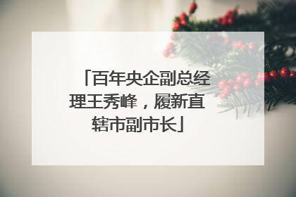 百年央企副总经理王秀峰，履新直辖市副市长